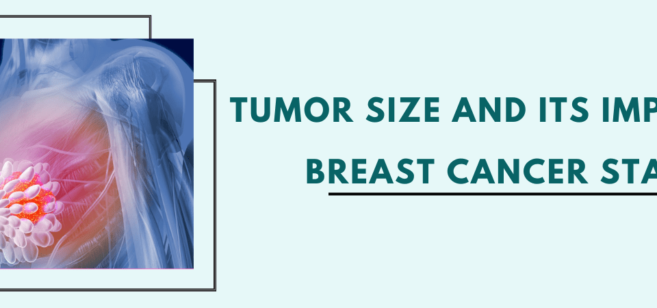 The-Importance-Of-BSE-Breast-Self-Examination-1-1-960x450