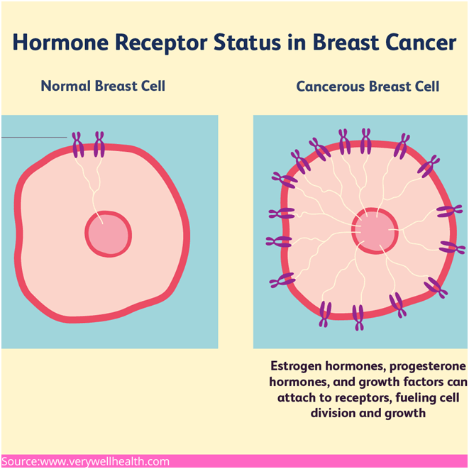 Status of hormone receptor